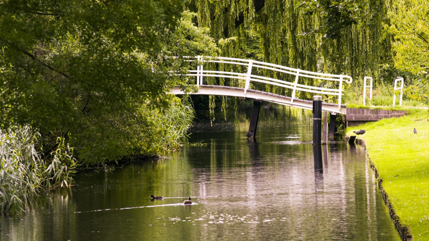 Places photograph by Antoine Moreau (19 of 23)